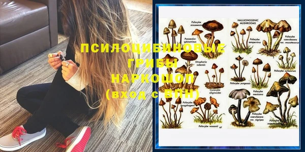 тгк Верхний Тагил